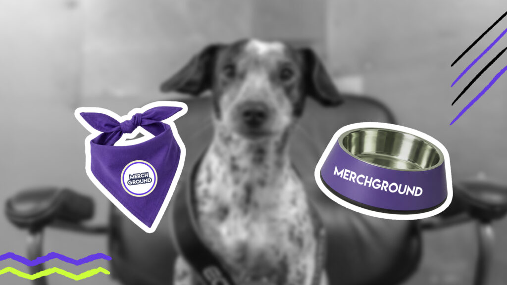 Im Hintergrund ein Hund und vorne links ein Hundebandana und rechts ein Hundefutternapf